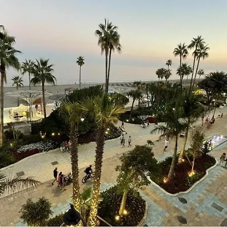 Palm Tree House Estepona