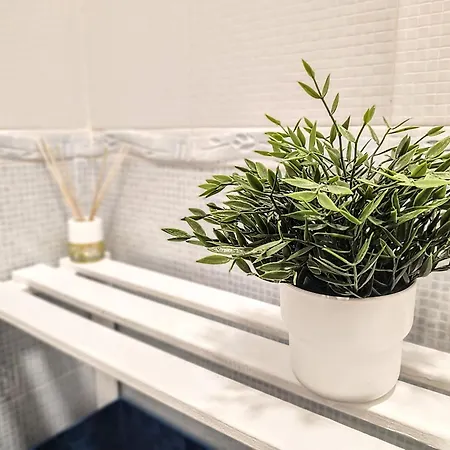 Apartment Palm Tree House *