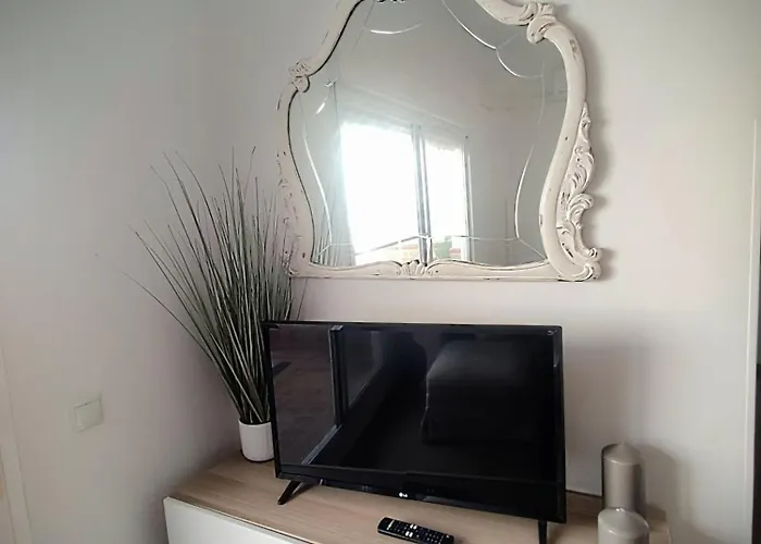 Palm Tree House 埃斯特波纳