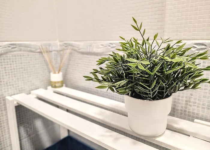 公寓 Palm Tree House *