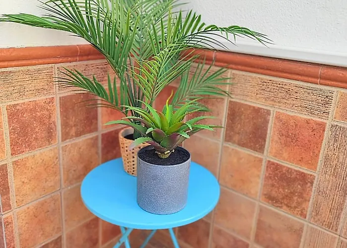 公寓 Palm Tree House